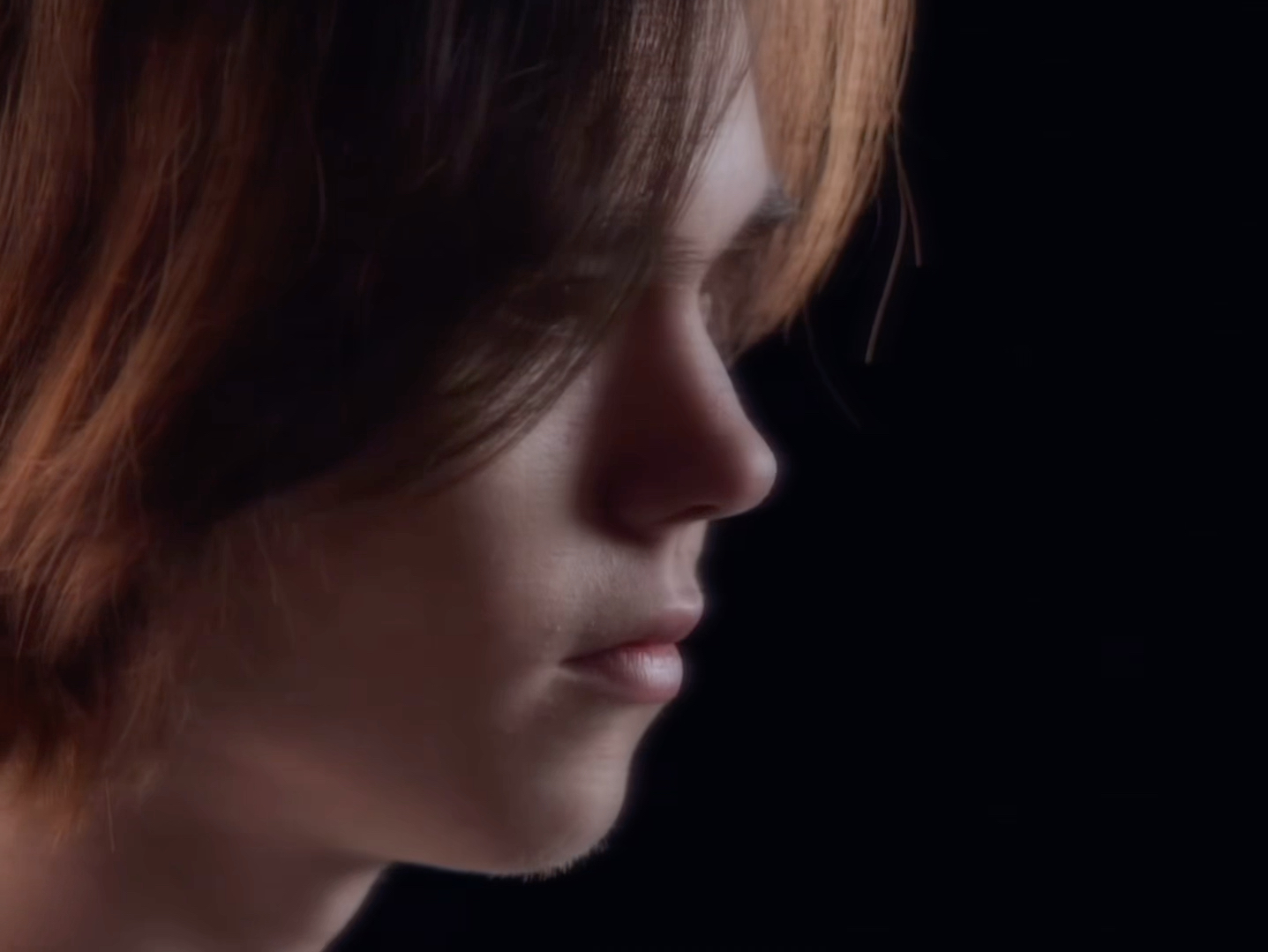 不仅能够提 不仅能够提