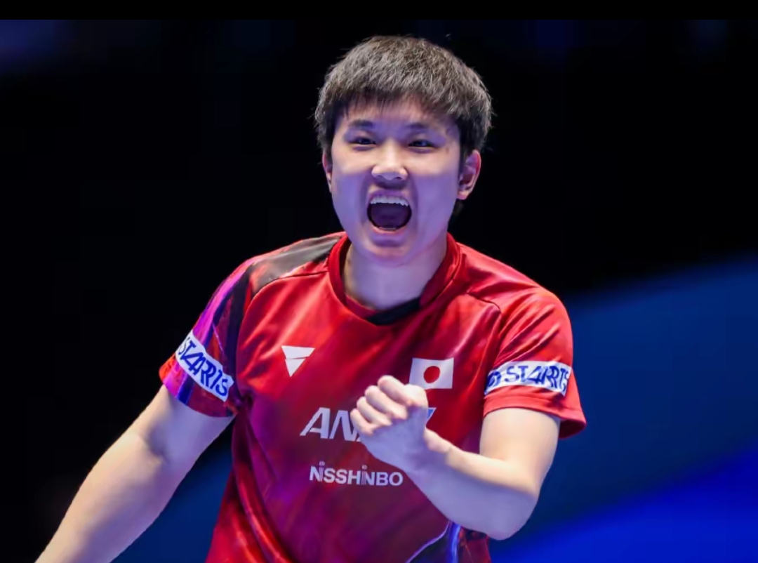 综合来看 综合来看