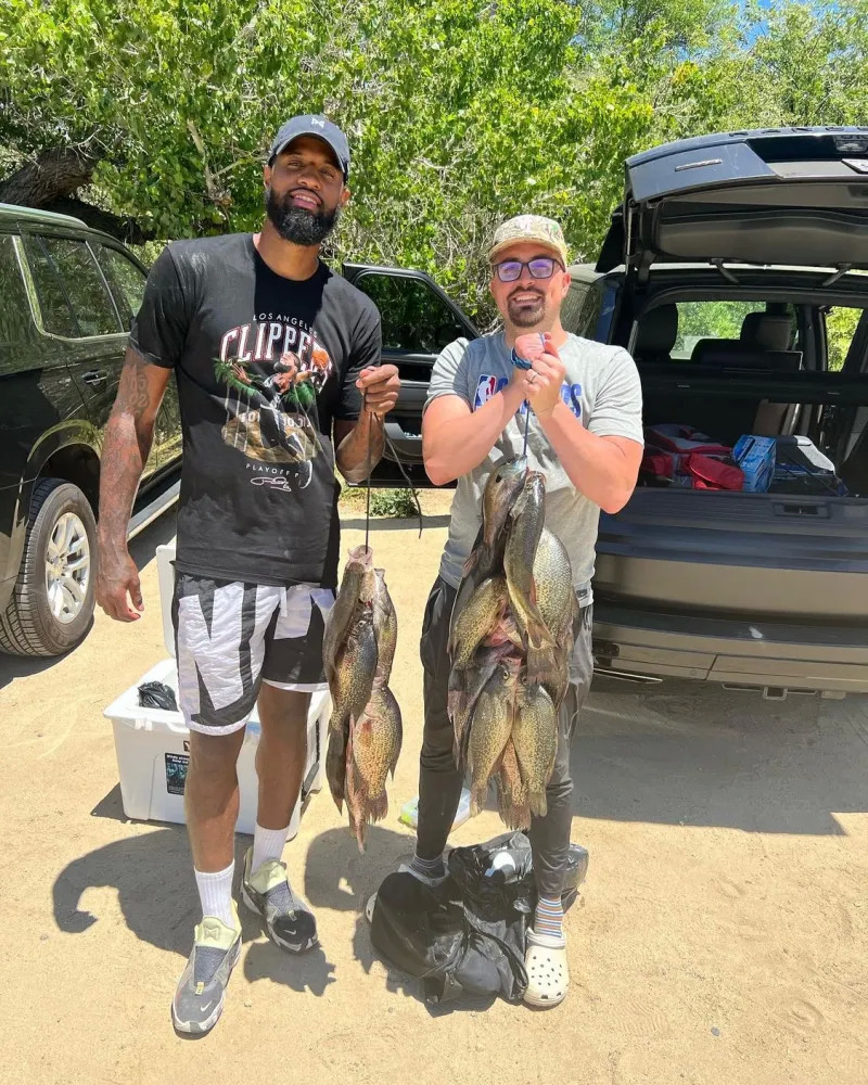 组织核心 组织核心